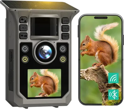 Zdjęcie produktu dla Aparat do obserwacji przyrody z aplikacją - kamera z funkcją noktowizji - do obserwacji zwierząt - nagrywanie wideo 4K, zdjęcia 64 MP - pamięć 64 GB - kolor brązowy