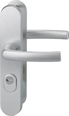 Immagine prodotto di Set di maniglie per porte d'ingresso, maniglia a doppia leva, asta da 216 mm, argento - THIRARD
