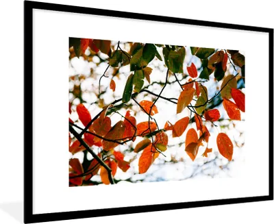 Produktbild von MuchoWow® Gerahmtes Poster Herbst - Blätter - Landleben - Jahreszeiten 90x60 cm - Poster mit Schwarzem Bilderrahmen Wandposter Rahmen Foto Bilder - Wanddekoration - Fotos