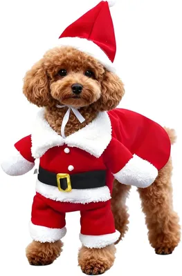Produktbild von Haustier-Weihnachtskostüm Weihnachtsmann mit Mütze, Kapuzenpullover, für Katze Hund Festoutfit