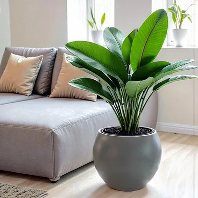 Obrázok produktu pre Kruhový kvetináč 38 cm, antracitová farba, so samozavlažovaním, 70 % recyklovaného materiálu