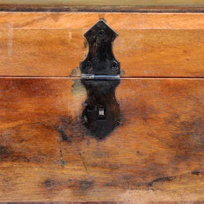 Image de vidaXL Coffre de rangement en bois ancien