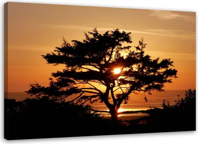Immagine prodotto di Quadro su tela albero sul mare al tramonto 90x60 cm Feeby arancione quadro da parete pronto da appendere