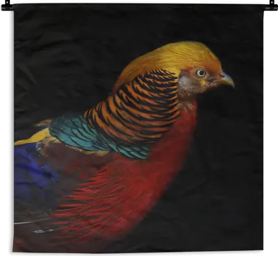 Produktbild von MuchoWow® Wandteppich Wandbehang Vogel - Federn - Schwarz - Porträt 90x90 cm Tapisserie Dekoration Wandtuch - Wandaufhänger