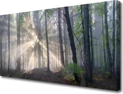 Produktbild von Tulup Leinwand-Bilder 100x50 Wandbild Canvas Kunstdruck Wald Natur