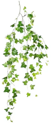 Produktbild von Künstlicher Efeu 3D EFEURANKE ca 147cm.