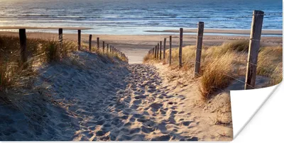 Produktbild von MuchoWow® Poster Strand - Meer - Niederlande - Dünen - Sonne 80x40 cm - Wanddeko