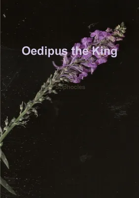 Produktbild von Ödipus