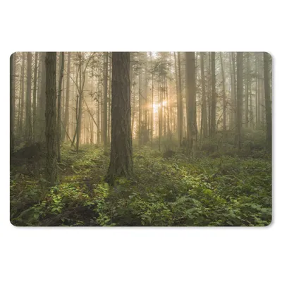 Produktbild von MuchoWow® Schreibtischunterlage Wald - Sonne - Licht 60x40 cm - XXL Mauspad - Großes Mauspad