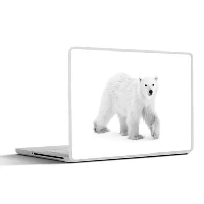 Produktbild von MuchoWow® Laptop Aufkleber Sticker Cover Eisbär im Schnee - schwarz und weiß 30x22 cm - Laptop-Sticker