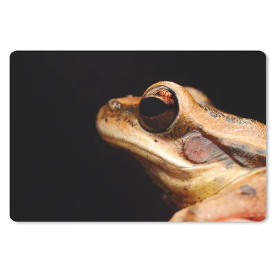 Produktbild von MuchoWow® Schreibtischunterlage Frosch - Auge - Schwarz 60x40 cm - XXL Mauspad - Großes Mauspad