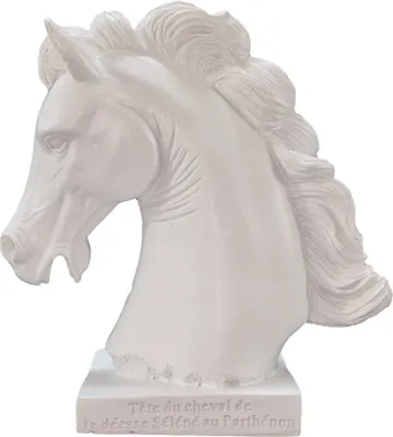 Produktbild von Weißer Pferdekopf vom dem Parthenon der Akropolis 15cm