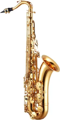 Obrázok produktu pre Zlatý mosadzný tenorový saxofón B Flat Sax Beginner Kit s puzdrom a náustkom