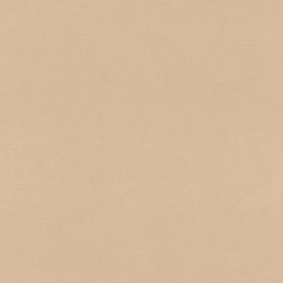Zdjęcie produktu dla Tapeta flizelinowa 690774 Jednokolorowa tapeta gładka 53 x 1005 cm Rasch Rhapsody Brown