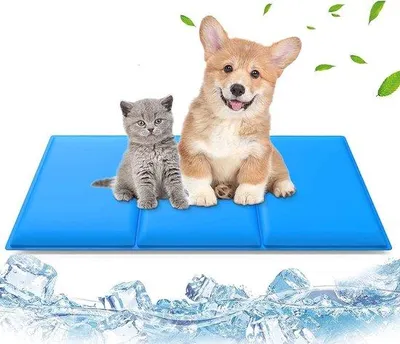 Produktbild von Hundekühlmatte und Katzenkissen, groß, bequem, tragbar, holzfrei Selbstkühlmatte, wasserdicht, blau, 90 x 50 cm.