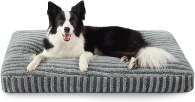 Produktbild von Hundebett 74 x 53 x 8 cm, für mittelgroße Hunde, waschbares Hundekissen, rutschfest, plüschig