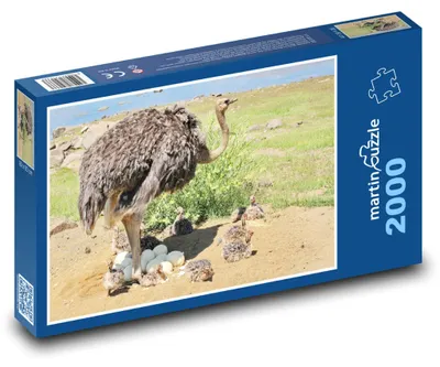 Obrázok produktu pre Puzzle 2000 Pštros s mláďatami pri hniezde - martinpuzzle