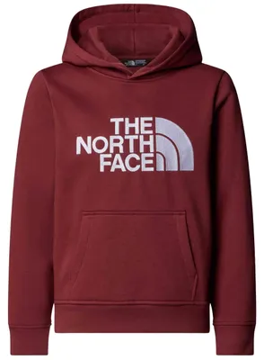 Obrázok produktu pre Mikina s kapucňou The North Face NF0A8EHH0VO pre Uni