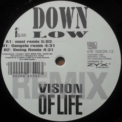 Zdjęcie produktu dla Vision Of Life (Remix)