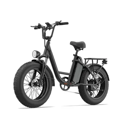 Imagen del producto de E20 PRO: Bicicleta eléctrica todoterreno de 20 pulgadas, con paso bajo, batería extraíble de 48V y 15,6 Ah, par motor de 80 Nm, cambio Shimano de 7 velocidades, peso máximo del usuario: 120 kg