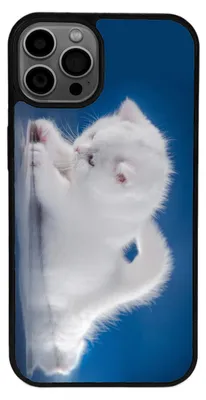 Produktbild von TPU Silikon Hülle für iPhone 15 PRO Handy Cover Case Schutzhülle Handyhülle Bumper MOTIV 121 Katze Baby Weiß