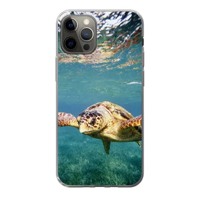 Produktbild von MuchoWow® Handyhülle Schutzhülle Hülle für iPhone 13 Pro Schildkröte - Wasser - Blau Silikon Softcase Handy Hülle - Handy-Tasche