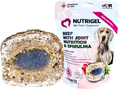 Image de LK Baits Pet Nutrigel Dog, boeuf avec nutrition des articulations et spiruline, L-XL, 200g