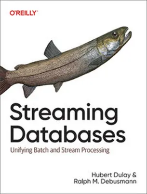 Obrázok produktu pre Streaming Databases