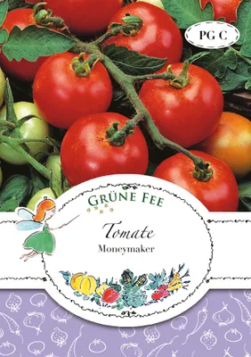 Produktbild von Grüne Fee - Tomate Moneymaker Samen - 11555