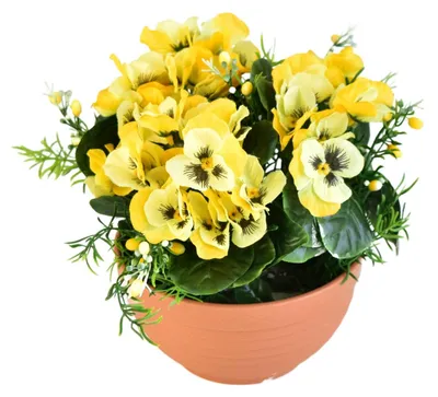 Zdjęcie produktu dla Żółte maceczki w terakotowej misce, średnica 20/21 cm