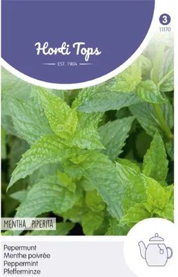 Image de Menthe poivrée | Graines de menthe de Hortitops