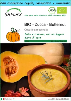 Immagine prodotto di SAFLAX Set regalo -- Zucca - Butternut - 6 semi - Cucurbita