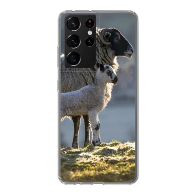 Produktbild von MuchoWow® Handyhülle Schutzhülle Hülle für Samsung Galaxy S21 Ultra Schaf - Lamm - Sonne Silikon Softcase Handy Hülle - Mobiltelefon