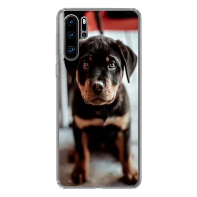 Produktbild von MuchoWow® Handyhülle Schutzhülle Hülle für Huawei P30 Pro Jung - Hund - Kamera Silikon Softcase Handy Hülle - Schutzdeckel