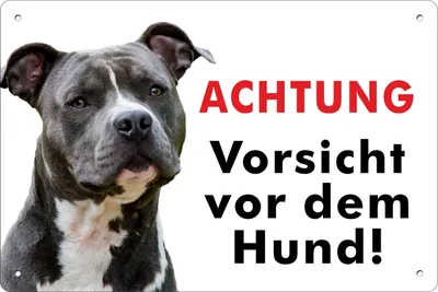 Achtung Hund Metallschild 3 mm, 30 x 20 cm