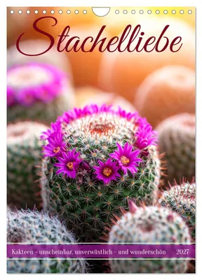 Produktbild von Stachelliebe (Wandkalender 2027 DIN A4 hoch), CALVENDO Monatskalender