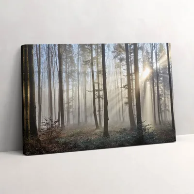 Produktbild von Wald im Nebel – Leinwandbild Wandbild – 30x20 cm – Leinwandbilder – Wandbilder – Schlafzimmer – Flur