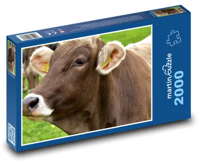 Zdjęcie produktu dla Puzzle 2000 Krowa na Zielonej Łące - martinpuzzle