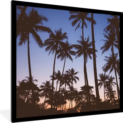 Produktbild von MuchoWow® Gerahmtes Poster Palme - Tropisch - Sommer - Himmel 40x40 cm - Poster mit Schwarzem Bilderrahmen Wandposter Rahmen Foto Bilder - Mit Rahmen - Wanddekoration Schlafzimmer