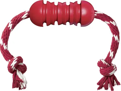 Produktbild von Kong Hundespielzeug Dental Stick mit Tau 50 cm rot