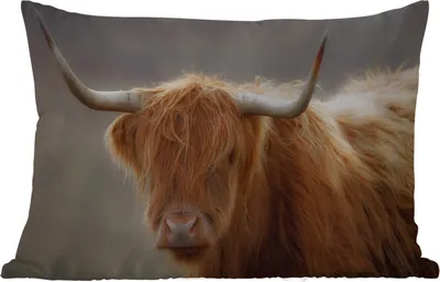 Produktbild von MuchoWow® Outdoor Kissen - Schottisches Hochlandrind - Hörner - Haare - 60x40 cm - Wetterfest - Lounge Kissen - Zierkissen - Kissen für Innenräume