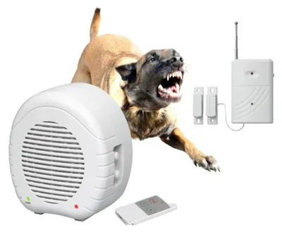 Produktbild von Indexa Set EW01 + MA80KM Elektronischer Wachhund mit Fernbedienung