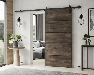 Produktbild von Schiebetür ALDER PLUS mit Türdämpfer 106 cm Dunkel Esche