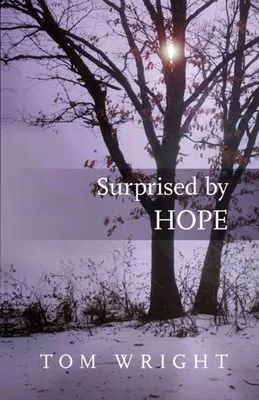 Productafbeelding van Surprised by Hope