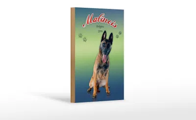 Produktbild von Holzschild Hund 12x18cm Malinois Belgien 1899