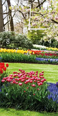 Produktbild von Wallario Design Wanduhr Bunte Blumen und Kirsch-Baum im Park blühen im Frühling aus Echtglas, Größe 30 x 60 cm