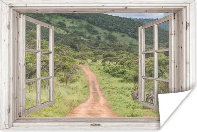 Produktbild von MuchoWow® Poster Durchschauen - Zebra - Afrika 120x80 cm - Bilder
