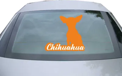 Produktbild von Indigos UG - Aufkleber Heckscheibe & Motorklappe DE7116 - orange - 600x545 mm - Chihuahua mit Name Techichi - Auto Scheiben Fenster Heckklappe Tuning Racing JDM - Die cut