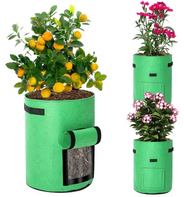 Image de Peviasot, lot de 3 sacs de plantation de 38 litres, avec fenêtre transparente et poignées de transport, sacs de plantation pliables pour serre, terrasse et jardin
