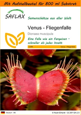 Produktbild von SAFLAX - Garden in the Bag - Venus - Fliegenfalle - 10 Samen - Mit Anzuchtsubstrat im praktischen, selbst aufstellenden Beutel - Dionaea muscipula